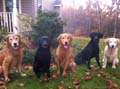 Most of the Gang!